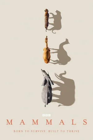 Млекопитающие 1 сезон онлайн